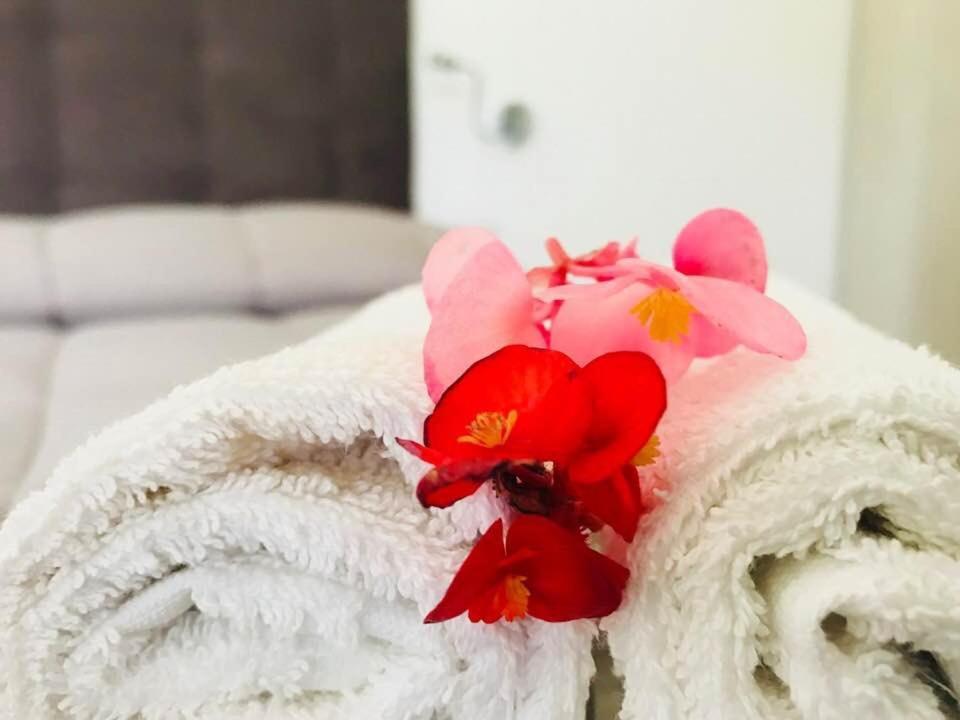 B&B Somiar Сан Теодоро Екстериор снимка